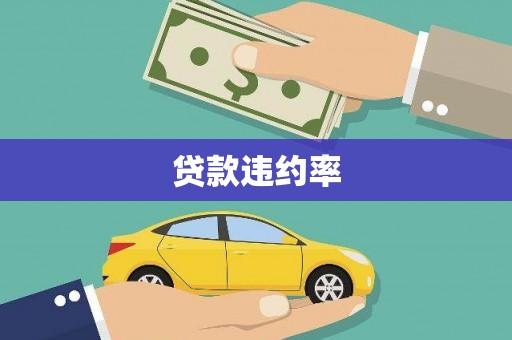 天宁贷款违约率