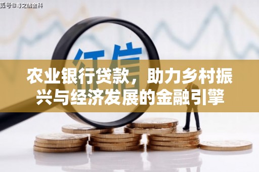 天宁农业银行贷款，助力乡村振兴与经济发展的金融引擎