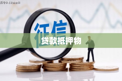 天宁贷款抵押物