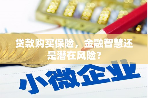 天宁贷款购买保险，金融智慧还是潜在风险？