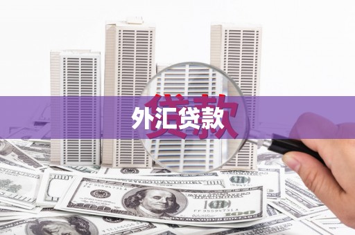 天宁外汇贷款