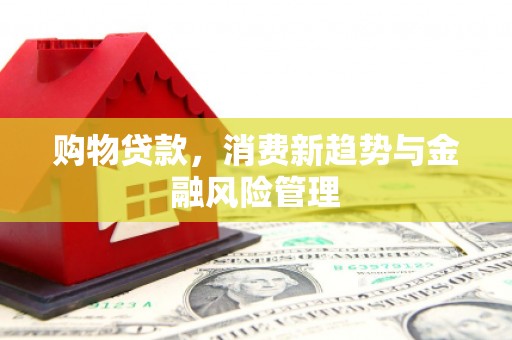 天宁购物贷款，消费新趋势与金融风险管理