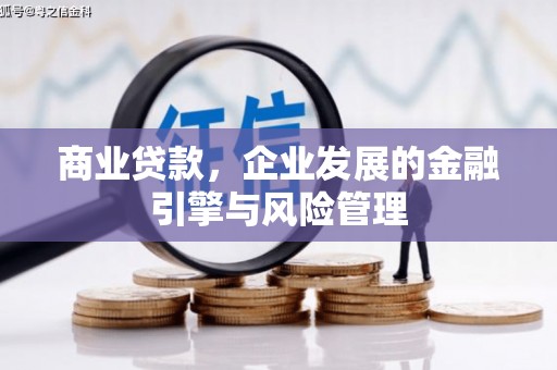 天宁商业贷款，企业发展的金融引擎与风险管理
