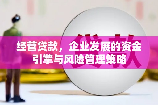 天宁经营贷款，企业发展的资金引擎与风险管理策略