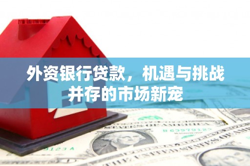 天宁外资银行贷款，机遇与挑战并存的市场新宠