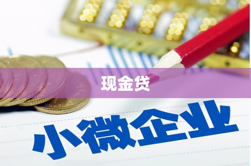 天宁现金贷