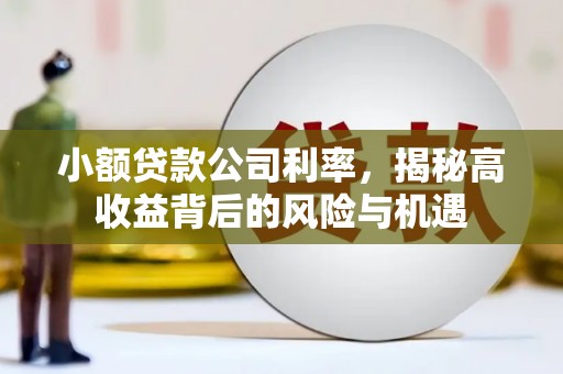 天宁小额贷款公司利率，揭秘高收益背后的风险与机遇