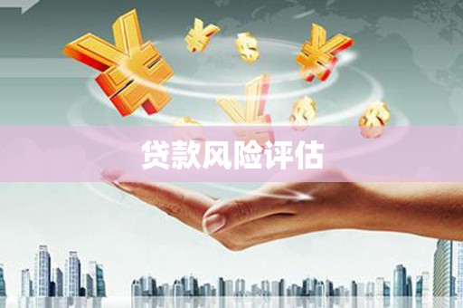 天宁贷款风险评估