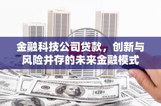 天宁金融科技公司贷款，创新与风险并存的未来金融模式