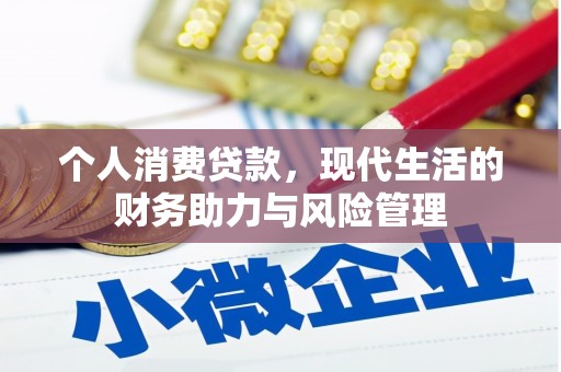 天宁个人消费贷款，现代生活的财务助力与风险管理
