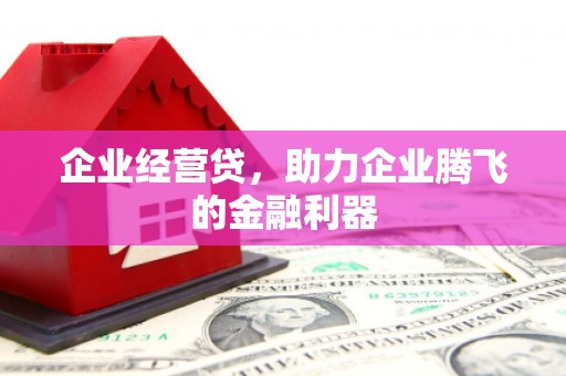 天宁企业经营贷，助力企业腾飞的金融利器