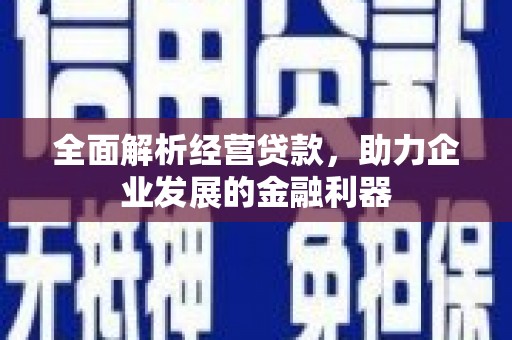 天宁全面解析经营贷款，助力企业发展的金融利器
