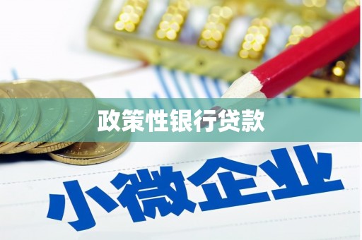 天宁政策性银行贷款