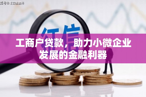 天宁工商户贷款，助力小微企业发展的金融利器
