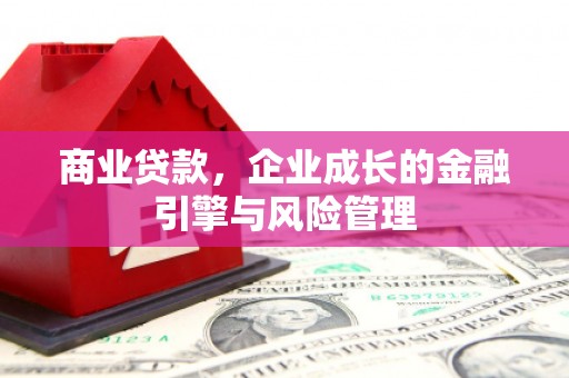 天宁商业贷款，企业成长的金融引擎与风险管理
