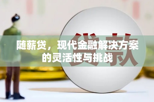 天宁随薪贷，现代金融解决方案的灵活性与挑战