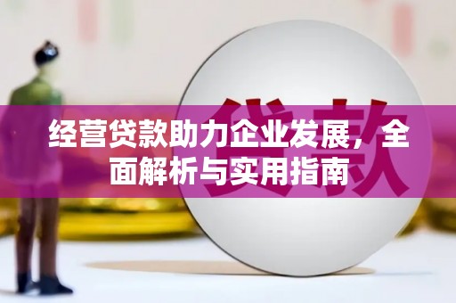 天宁经营贷款助力企业发展，全面解析与实用指南