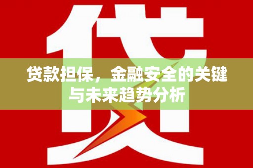 天宁贷款担保，金融安全的关键与未来趋势分析