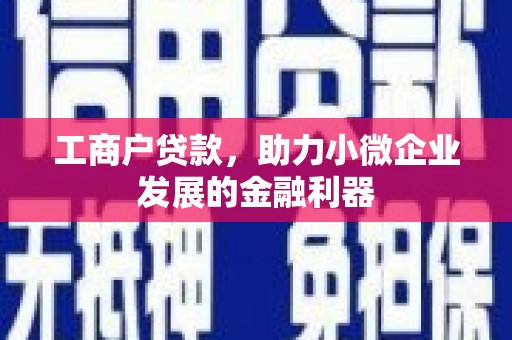天宁工商户贷款，助力小微企业发展的金融利器