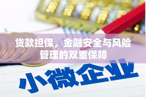 天宁贷款担保，金融安全与风险管理的双重保障