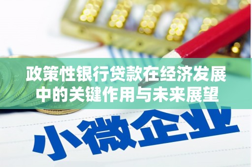 天宁政策性银行贷款在经济发展中的关键作用与未来展望