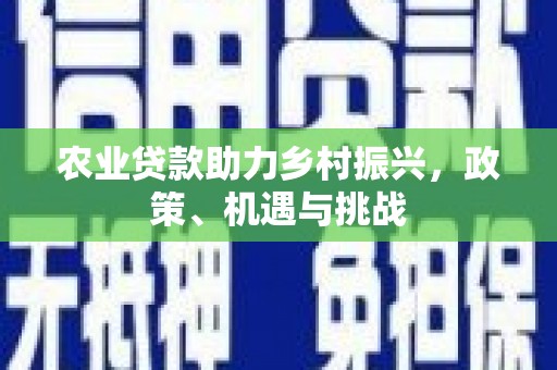 天宁农业贷款助力乡村振兴，政策、机遇与挑战