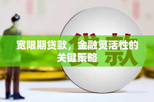 天宁宽限期贷款，金融灵活性的关键策略