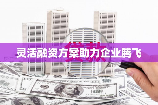 天宁灵活融资方案助力企业腾飞