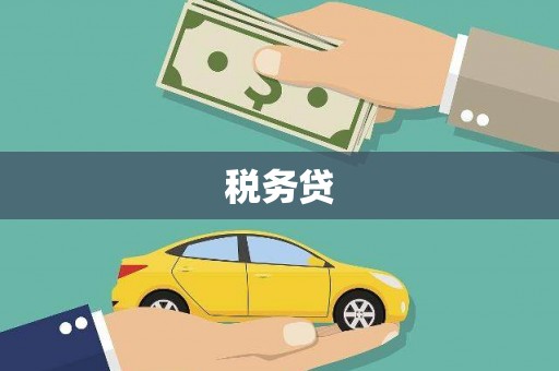 天宁税务贷
