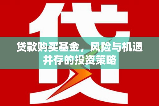 天宁贷款购买基金，风险与机遇并存的投资策略