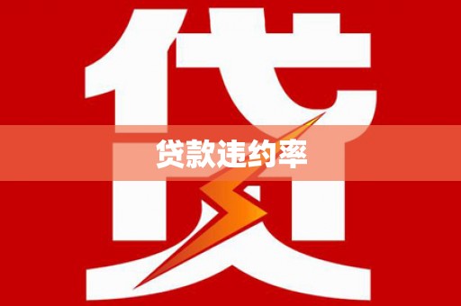 天宁贷款违约率