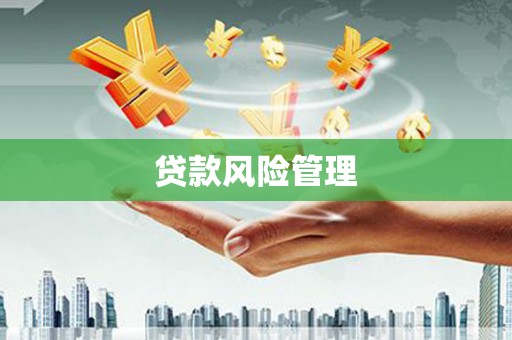 天宁贷款风险管理