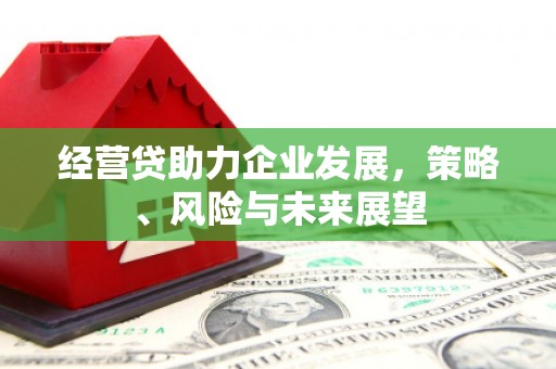 天宁经营贷助力企业发展，策略、风险与未来展望