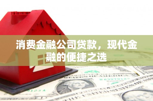 天宁消费金融公司贷款，现代金融的便捷之选