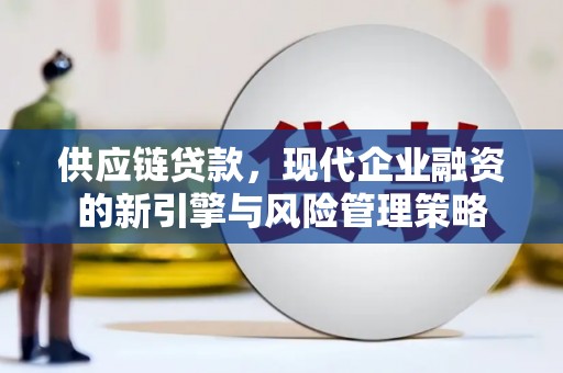 天宁供应链贷款，现代企业融资的新引擎与风险管理策略