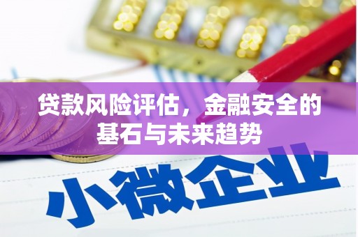 天宁贷款风险评估，金融安全的基石与未来趋势