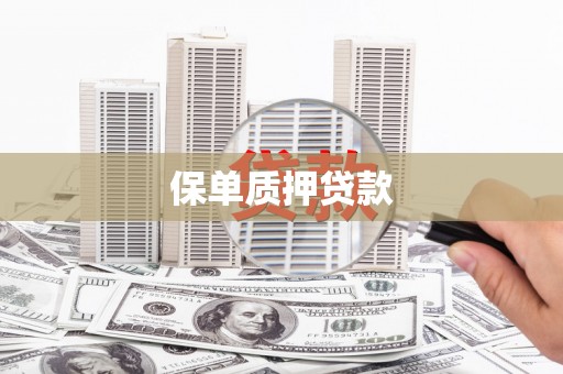 天宁保单质押贷款