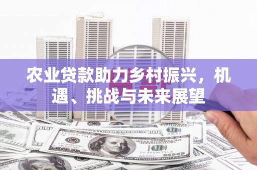 天宁农业贷款助力乡村振兴，机遇、挑战与未来展望