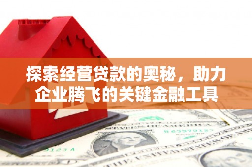 天宁探索经营贷款的奥秘，助力企业腾飞的关键金融工具