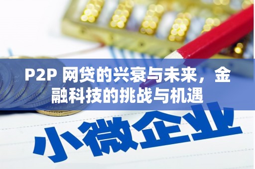 天宁P2P 网贷的兴衰与未来，金融科技的挑战与机遇
