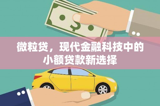天宁微粒贷，现代金融科技中的小额贷款新选择