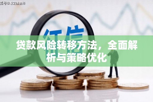天宁贷款风险转移方法，全面解析与策略优化