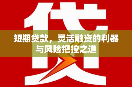 天宁短期贷款，灵活融资的利器与风险把控之道