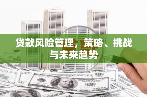 天宁贷款风险管理，策略、挑战与未来趋势