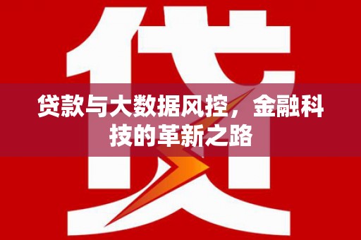 天宁贷款与大数据风控，金融科技的革新之路