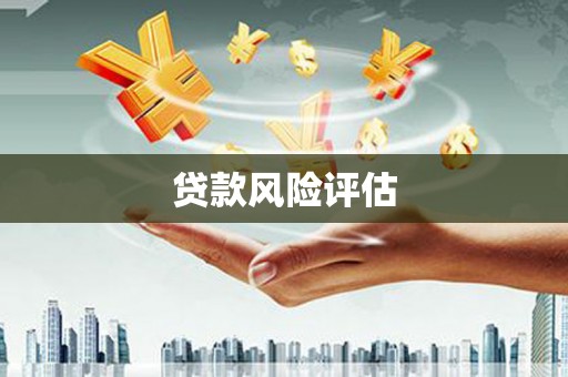 天宁贷款风险评估
