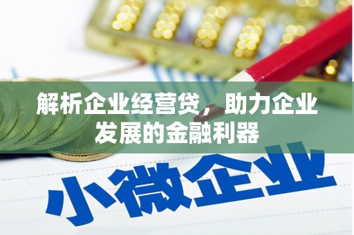 天宁解析企业经营贷，助力企业发展的金融利器