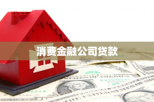 天宁消费金融公司贷款
