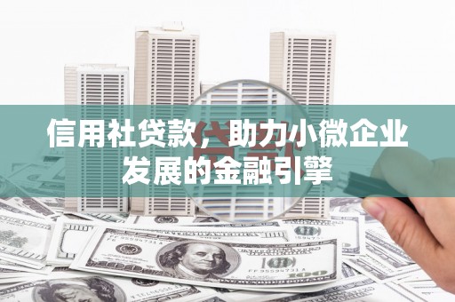 天宁信用社贷款，助力小微企业发展的金融引擎