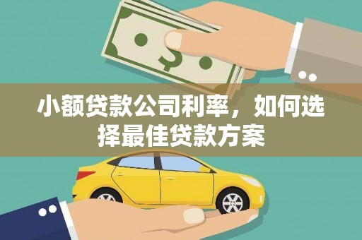 天宁小额贷款公司利率，如何选择最佳贷款方案